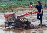Karapan Sapeh Jepang: Saat Petani Probolinggo Menjajal Adrenalin di Atas Traktor, MotoGP Lewat!