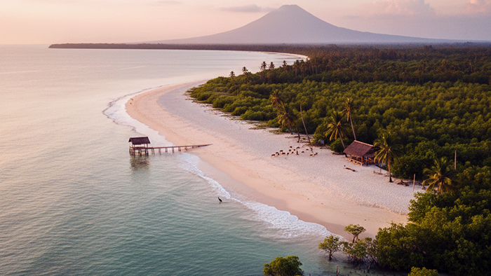 Pantai Bama Baluran: “Private Beach” Rasa Afrika yang Indahnya Bikin Lupa Cicilan, tapi Hati-hati sama Monyetnya!