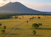 Baluran: Potongan Afrika yang Nyasar ke Situbondo (Eh, Banyuwangi Juga)
